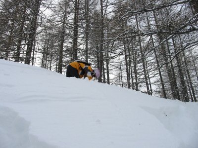 IMG_4540.JPG