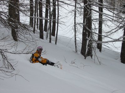 IMG_4546.JPG