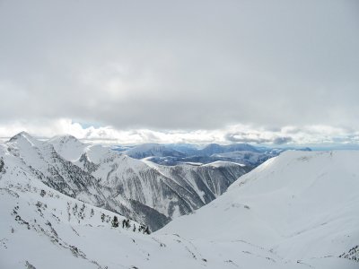 IMG_4569.JPG