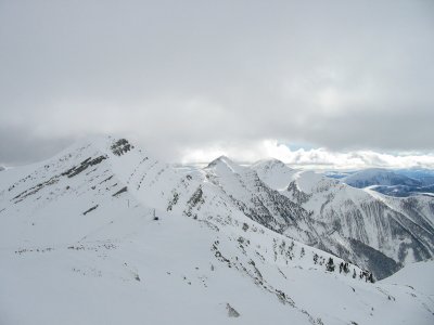 IMG_4570.JPG