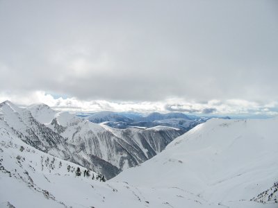 IMG_4571.JPG