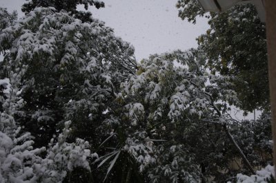 cannes sous la neige fevrier 2010