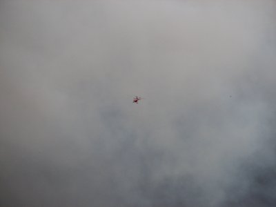 IMG_2201.JPG