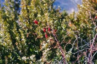 We du 5 fevrier 2011