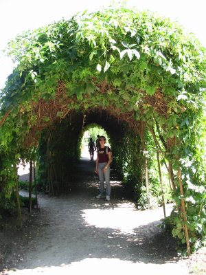 IMG_0683.JPG