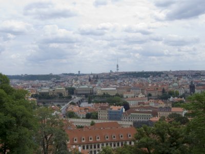P1010141.jpg