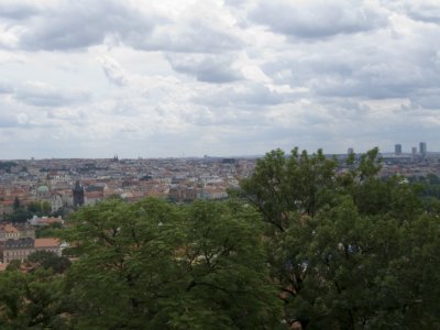 P1010142.jpg