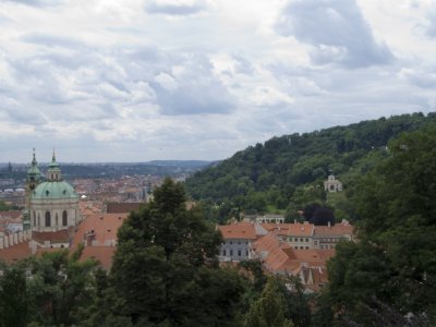 P1010143.jpg