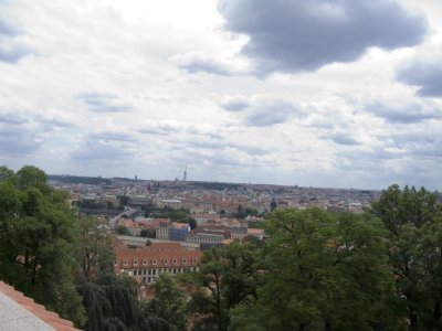 P1010146.jpg