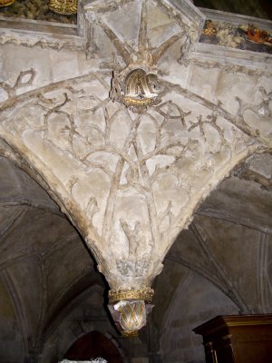 P1010209.jpg