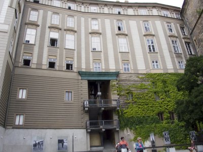 P1010232.jpg