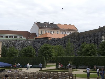 P1010245.jpg