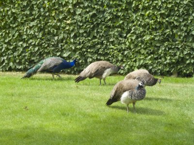 P1010255.jpg