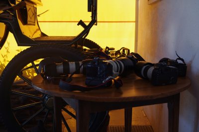 We du 24 juillet 2010 a la campagne