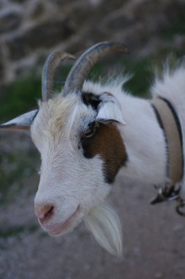 IMGP6689.JPG