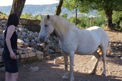 IMGP6728.JPG