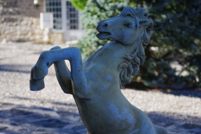 IMGP6290.JPG