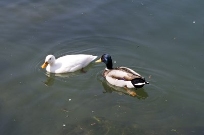 IMGP8798.JPG
