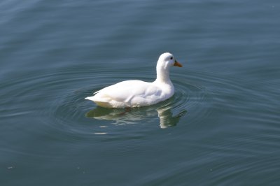 IMGP8800.JPG