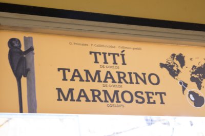 IMGP1834.JPG