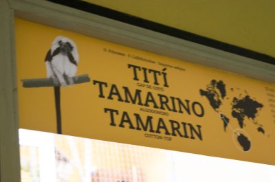 IMGP1842.JPG