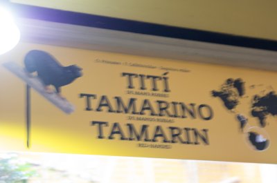 IMGP1857.JPG