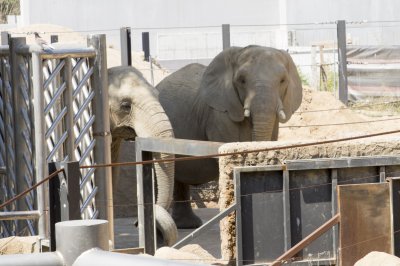 Jour 4 - Barcelone - Zoo