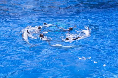 Marineland 22 juin 2016