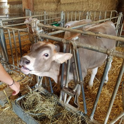 Jour 6 - Ferme et retour