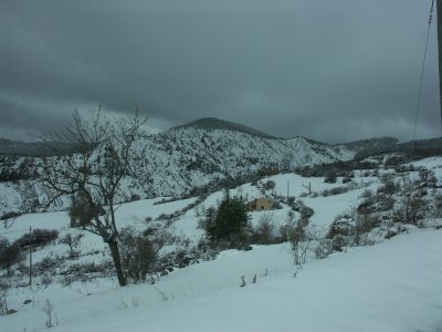 PICT0010.JPG