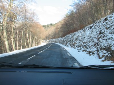 IMG_2828.JPG