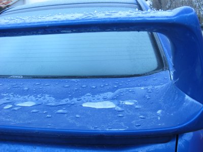 we 24-25 janvier 2009