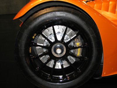 caparo_IMG_1040.JPG