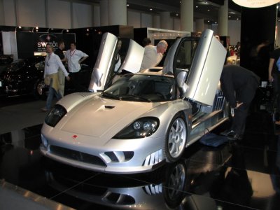 saleen_IMG_1010.JPG