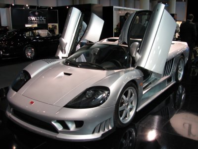saleen_IMG_1063.JPG