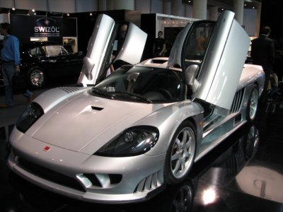 saleen_IMG_1064.JPG
