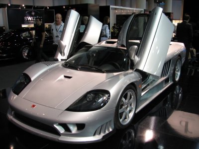 saleen_IMG_1066.JPG