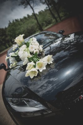 photo - Jeremy Guido-Florence&charles-181.jpg