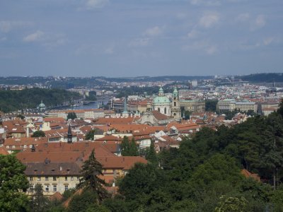 P1010060.jpg