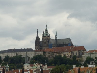 P1010344.jpg