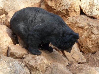 Zoo de St Jean Cap Ferrat