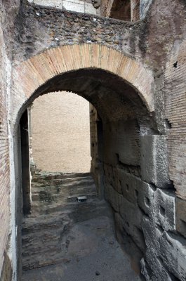 IMGP8207.jpg