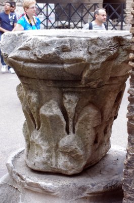 IMGP8246.jpg