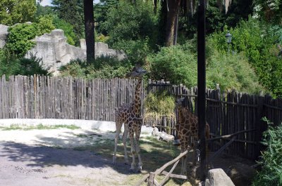IMGP9022.jpg