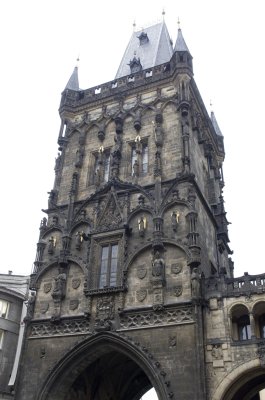IMGP7145.JPG