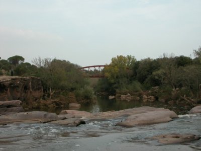 DSCN5427.JPG