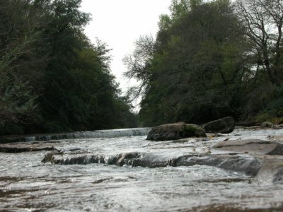 DSCN5429.JPG
