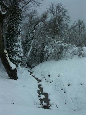 PICT0002.JPG