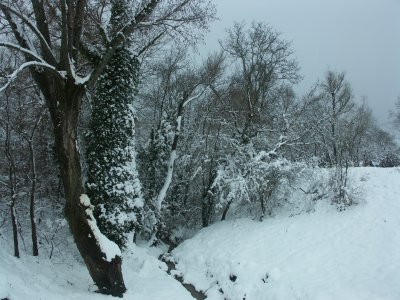 PICT0003.JPG