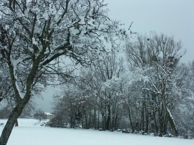 PICT0004.JPG